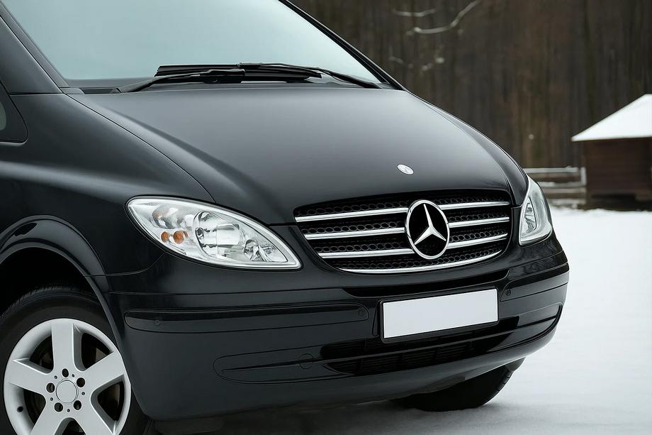 Mercedes Vito W639 2004-2014 Grillabdeckung 2004-2010 Edelstahl Image