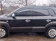 Hyundai Tucson JM 2004- Fensterrahmen Zierleisten Edelstahl (4 Stk) Foto 1