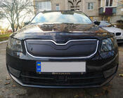 Skoda Octavia III A7 2013-2019 Winterabdeckung für Kühlergrill (2013-2017) Foto 1