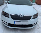 Skoda Octavia III A7 2013-2019 Winterabdeckung für Kühlergrill (2013-2017) Foto 2