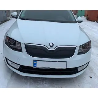 Winterabdeckung für Kühlergrill (2013-2017) Foto 2
