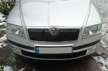 Skoda Octavia II A5 2006-2010 Winterabdeckung für Kühlergrill (oben) Matt Foto 1