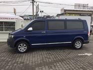 Volkswagen T5 2010-2015 Türleisten Edelstahl Chrom Foto 4