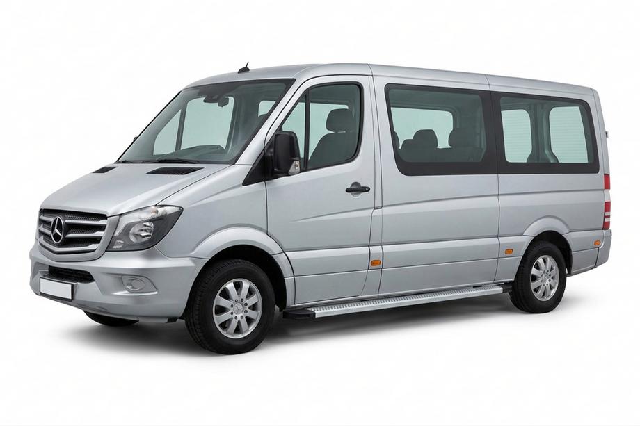 Mercedes Sprinter W906 2006–2018 Seitenschweller Maya V2 (2 Stk., Aluminium) Image