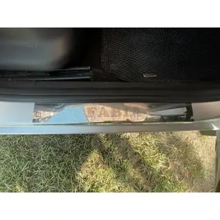 Einstiegsleisten Carmos (4 Stk., Edelstahl) Skoda Fabia 2007-2014 Foto 2