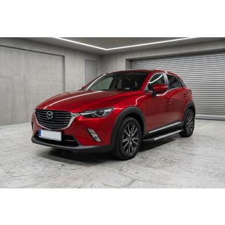 Seitenschweller RedLine V1 (2 Stk., Aluminium) Foto 1
