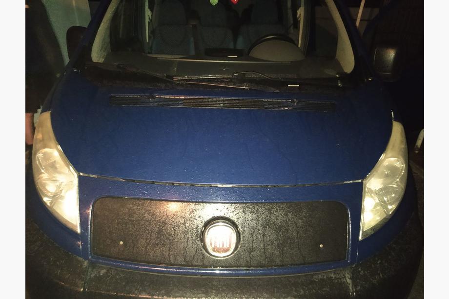 Fiat Scudo 2007-2015 Wintergrill Image