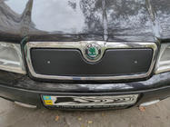 Skoda Octavia I Tour A4 1996-2010 Wintergrill (oben) Foto 2