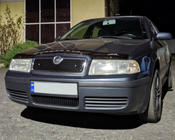 Skoda Octavia I Tour A4 1996-2010 Wintergrill (oben) Foto 3
