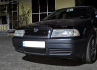 Skoda Octavia I Tour A4 1996-2010 Wintergrill (oben) Foto 4