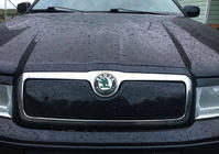 Skoda Octavia I Tour A4 1996-2010 Wintergrill (oben) Foto 1