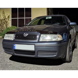 Wintergrill (oben) Skoda Octavia I Tour A4 1996-2010 Foto 3