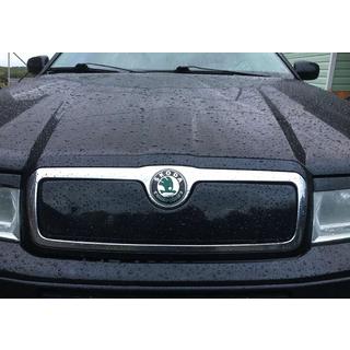 Wintergrill (oben) Skoda Octavia I Tour A4 1996-2010 Foto 1