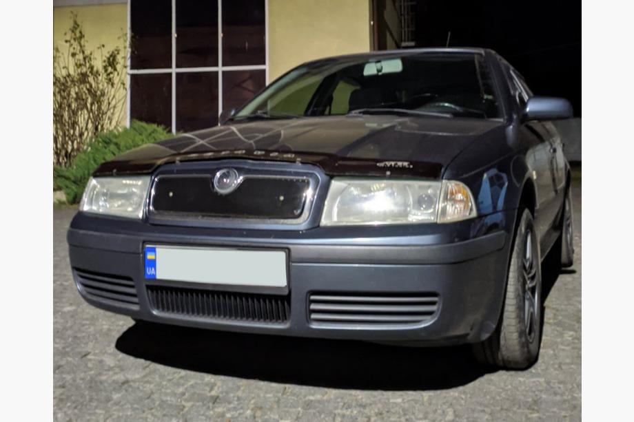 Skoda Octavia I Tour A4 1996-2010 Wintergrill (oben) Matt Foto 3