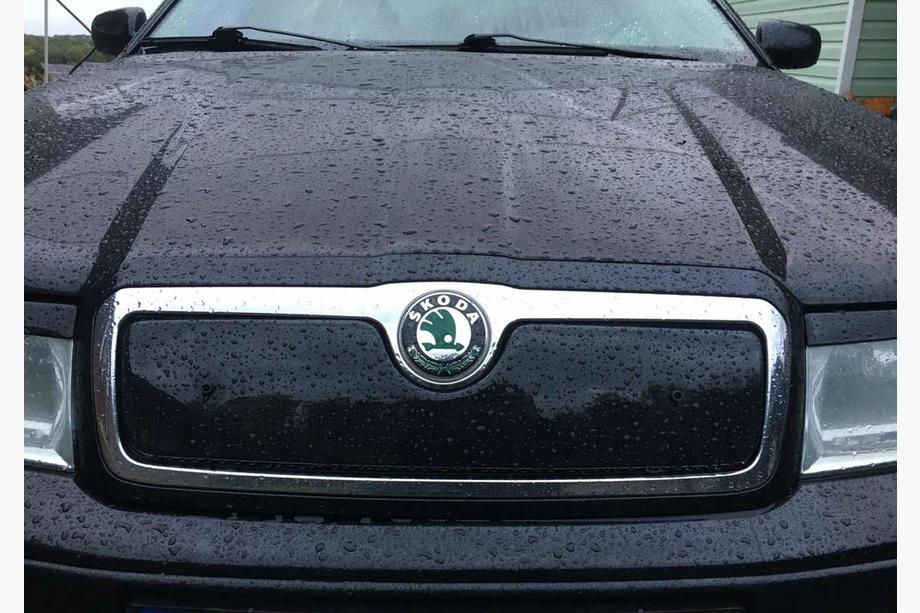 Skoda Octavia I Tour A4 1996-2010 Wintergrill (oben) Image