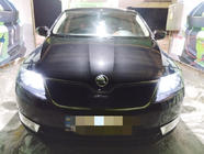 Skoda Rapid 2012-2019 Wintergrill (oben) Foto 1