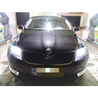 Wintergrill (oben) Skoda Rapid 2012-2019 Foto 1
