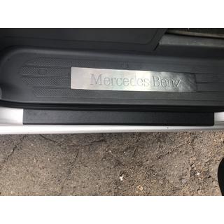 Einstiegsleisten DDU matt (2Stk, Kunststoff) Foto 2