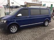 Volkswagen T6 2015-2024 Türleisten Edelstahl Chrom Foto 3