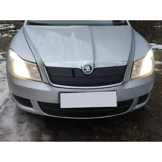 Winterabdeckung für Kühlergrill (oben)