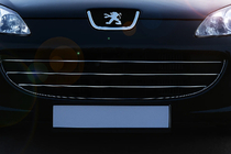 Peugeot 407 2004-2011 Chrom Kühlergrill Blenden (3 Stk, Edelstahl) Foto 1
