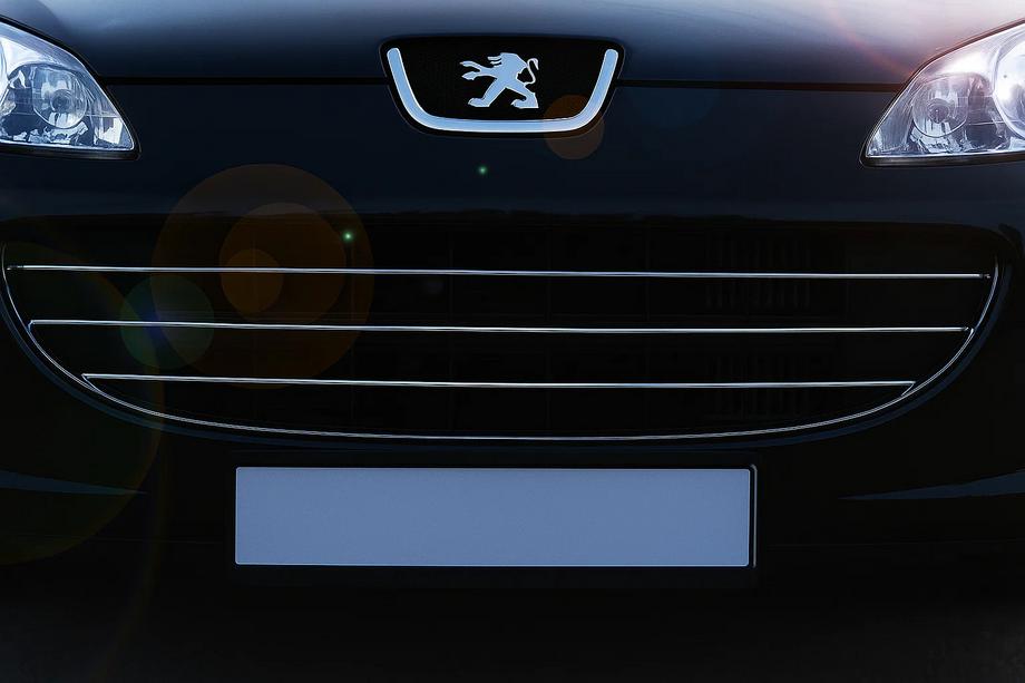 Peugeot 407 2004-2011 Chrom Kühlergrill Blenden (3 Stk, Edelstahl) Image