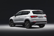 Der erste überblick über Crossover Seat Ateca Foto 5