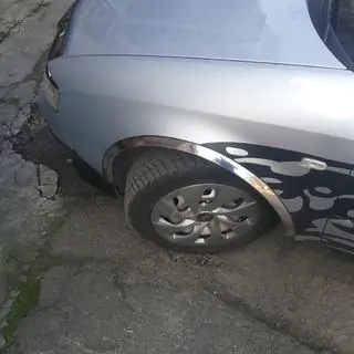 Radlaufverkleidungen (4 Stk, Edelstahl)