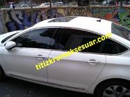 Citroen C-5 2008-2017 Komplettset Fensterrahmen Zierleisten (12 Stk, Edelstahl) Foto 3