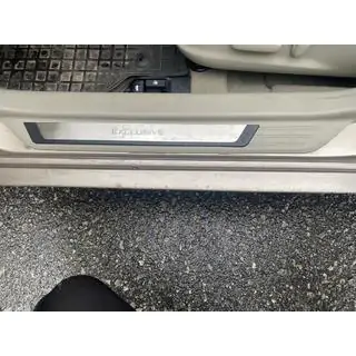 Einstiegsleisten Abdeckungen (4 Stk.)