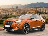 Peugeot 3008 2016-2023 Seitenschweller Allmond Grey (2 Stk, Aluminium) Foto 1