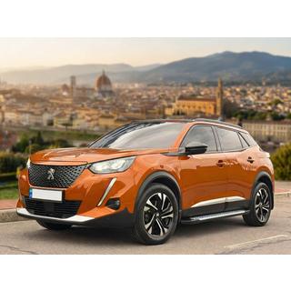 Seitenschweller Allmond Grey (2 Stk, Aluminium) Peugeot 3008 2016-2023 Foto 1
