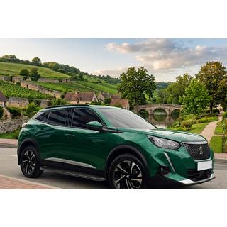 Seitenschweller Allmond Black (2 Stk, Aluminium) Peugeot 3008 2016-2023 Foto 1