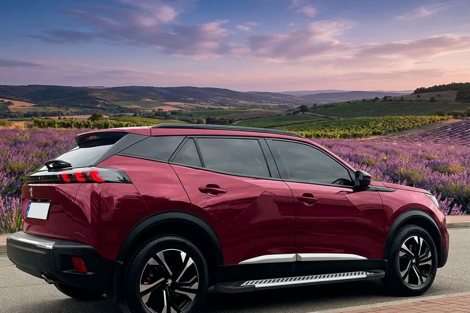 Peugeot 3008 2016-2023 Trittbretter Line (2 Stk, Aluminium) Image