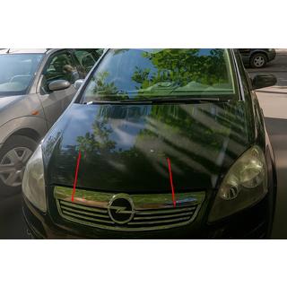 Chrom Kühlergrill Blenden (6 Stk, Edelstahl) Opel Zafira B 2005–2011 Foto 1