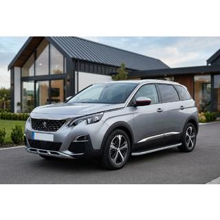 Seitenschweller Tayga Grey (2 Stk., Aluminium) Foto 1