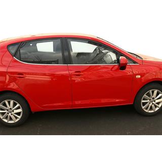 Fensterzierleisten Edelstahl Seat Ibiza 2010-2017