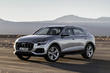 Überblick über Premium-Crossover Audi Q8 Foto 6