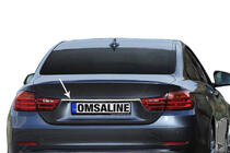 BMW 4 Series F32/F33/F36 2012-2020 Chromleiste über dem Kennzeichen (Edelstahl) Foto 1