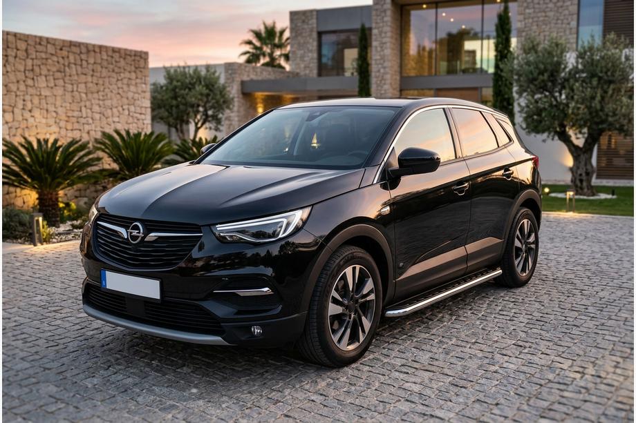 Opel Grandland X 2017- Trittbretter Maydos V1 (2 Stk., Aluminium & Edelstahl) Image