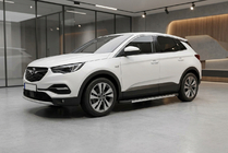 Opel Grandland X 2017- Trittbretter Duru (2 Stk., Aluminium) Foto 1