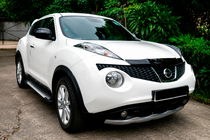 Nissan Juke 2010-2019 Trittbretter Allmond Grey (2 Stk., Alu) Foto 1