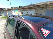Renault Scenic/Grand 2003-2009 Dachreling Schwarz (2 Stk) Langer Radstand (Grande) Foto 1