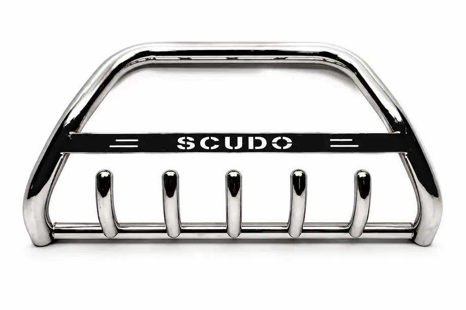Fiat Scudo 1996-2007 Frontbügel WT004 Edelstahl Image