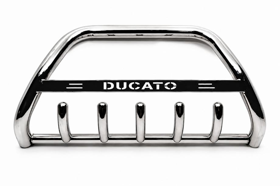 Fiat Ducato 1995-2006 Frontbügel WT004 Edelstahl Image