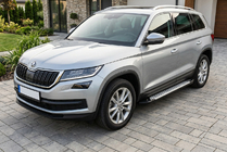 Skoda Kodiaq 2016-2023 Trittbretter Allmond Grey (2 Stk., Aluminium) Foto 1