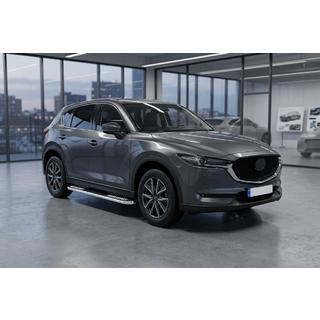 Seitenschweller Tayga V2 (2 Stk., Aluminium) Foto 1