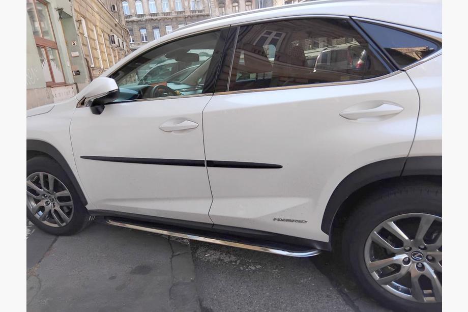 Lexus NX 2014-2021 Seitenschweller Original V2 (2 Stk) Image