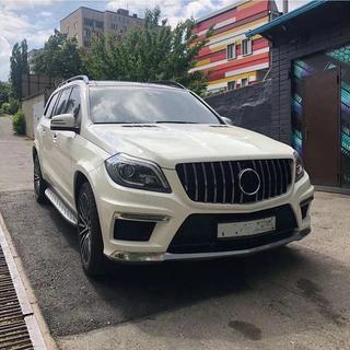 GT Panamericana Kühlergrill (für GL High) Foto 4