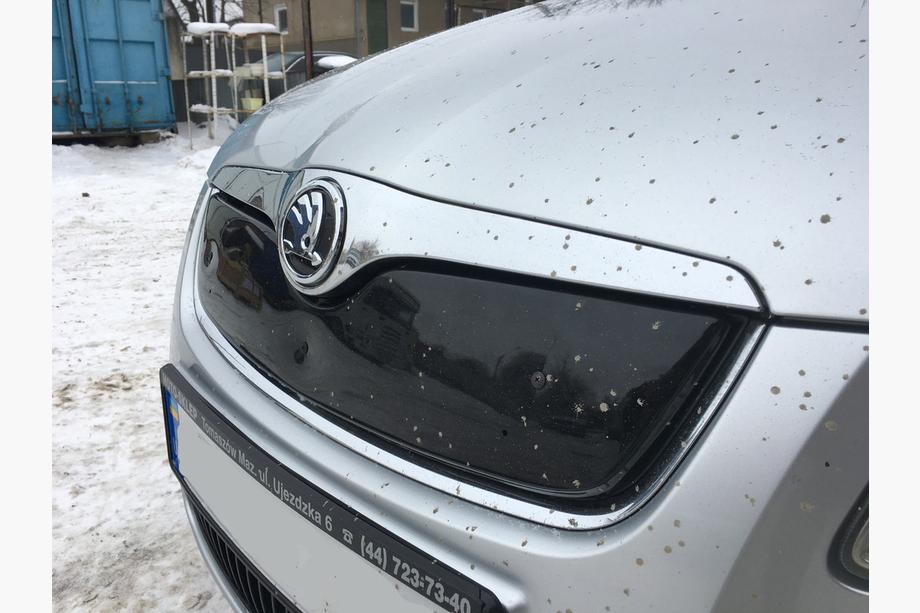 Skoda Fabia 2007-2014 Winterabdeckung für Kühlergrill (2007-2010, oben) Glänzend Foto 3